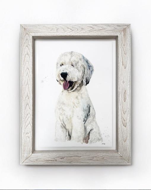 Regalo único: cuadro de tu mascota con moldura — Bogotá
